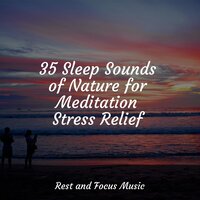 In Control - Ambiente & Guided Meditation Music Zone & Smart Baby Lullaby