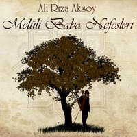 Behey Tanrım Şaşakaldım İşine - Ali Rıza Aksoy