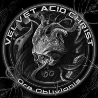 Adventures in Babysitting the Antichrist - Velvet Acid Christ
