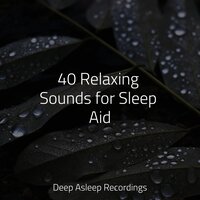Late Night Oceans - White Noise Therapy & Nature Sound Series & Musica para Dormir Dream House