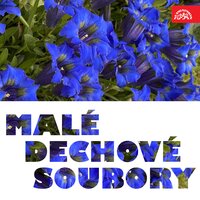 Jak jí hrával dědeček - Josef Charvat & Česká muzika