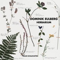 Kuckucks-Lichtnelke (Lychnis Flos-Cuculi) - Dominik Eulberg