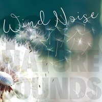 Cold Sunset Wind Sounds - 101 Nature Sounds