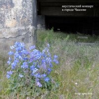 Если я не буду с тобой - егор арестов