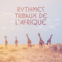 Nuits tribales - African Music Drums Collection