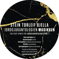 Eg vart uvenn med mine sysken - Stein Torleif Bjella