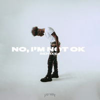 No, I'm Not Ok - Jay-Way