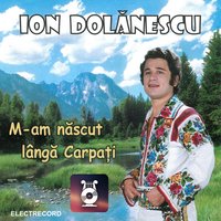 Din Bucata Mea De Pâine - Ion Dolanescu