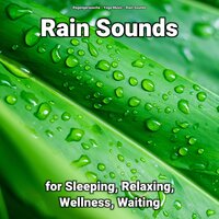 Rain Sounds No Music - Yoga Music & Rain Sounds & Regengeräusche