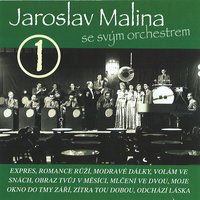 Obraz Tvůj V Měsíci - Jaroslav Malina