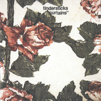 The Fast One - Tindersticks