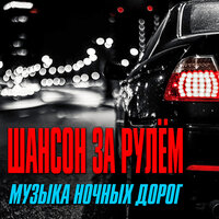Девчонки-тверичаночки - Попутчик