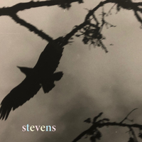 Fly - Stevens