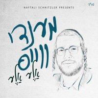 V'earstich - Mendy Weiss