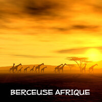 Botswana - Berceuse Academie
