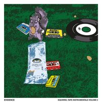 Bay - Evidence