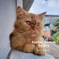 Kucing Gemuk Gemoy - Rusli Ridwan