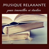 Musicothérapie - Musique pour Travailler Maestro