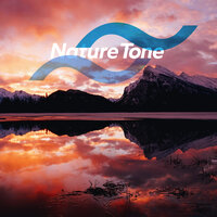 Secret Base - Nature Tone