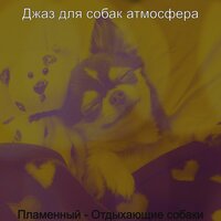 Моменты (Отдыхающие собаки) - Джаз для собак атмосфера