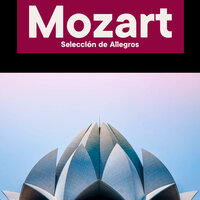 Mozart Selección de Allegros - Schola Camerata