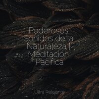 Estados De Ánimo De Armonía - Sons da natureza HD & Musica Relajante Piano Master & Canciones de Cuna para Bebés Acadèmico