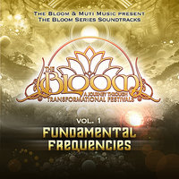 Sunu - The Human Experience & Rising Appalachia