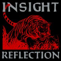 End the Cruelty - Insight