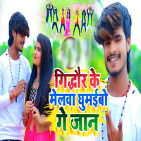 Gidhaur Ke Melaba Ghumaibo Ge Jan - Aashish Yadav