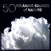 Deep Meditation Music - Home SPA Collection