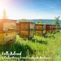 Calming Honey Farm Countryside Ambience, Pt. 16 - Steve Brassel