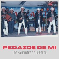 El Columpio - En Vivo - Los Maleantes de la Presa