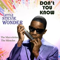 He Don't Care About Me - The Miracles