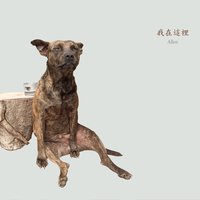 快 愛 來 嗨 - Allen