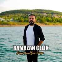 Şerefsiz Olmana Gerek Varmıydı - Ramazan Çelik