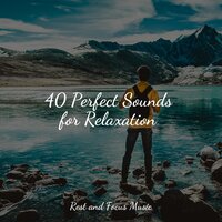 Silent Moonlight - Music to Relax in Free Time & Easy Sleep Music & Academia de Música con Sonidos de la Naturaleza