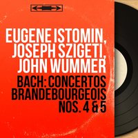 Concerto brandebourgeois No. 4 in G Major, BWV 1049: II. Andante - John Wummer & Alexander Schneider & Pablo Casals & Orchestre du Festival de Prades & Bernard Goldberg & Bernard Goldberg, John Wummer, Alexander Schneider, Pablo Casals, Orchestre du Festival de Prades & Johann Sebastian Bach