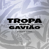 Tropa dos Gavião - Dj wesly & MC VK DA VS