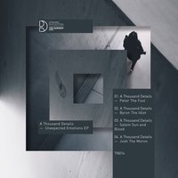 Josh The Moron - A Thousand Details