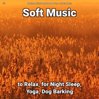 Nice Ambient - Relaxing Music by Terry Woodbead & Yoga & Relaxing music