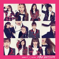 Mr. Chu (On Stage) (INST) - Apink