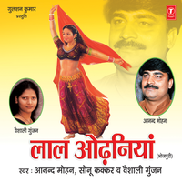 Hum Hayin Aam Ke Anchar - Anand Mohan
