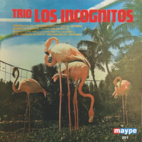 Mi Vida Eres Tu - Trio Los Incognitos