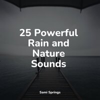 Rainy Sunrise Forest Ambience - Kinderlieder-Superstar & Echoes of Nature & Musica Reiki