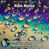 Background Sounds to Relax Your Brain - Rain Sounds to Fall Asleep To & Nature Sounds & Rain Sounds