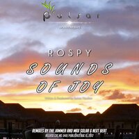 Sounds Of Joy - Rospy & The Jammer