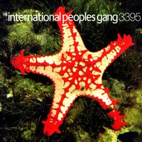 Conditioned Response - International Peoples Gang