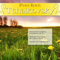 Souvenir de Florence in D Minor, Op. 70: III. Allegro moderato - Conrad von der Goltz Chamber Orchestra