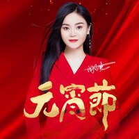 元宵节 - 闫辽艳