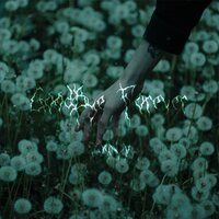 Goodbye Forever - ZXNOV